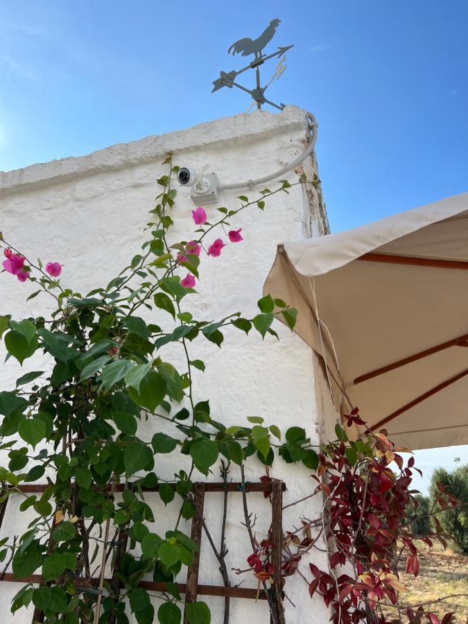 La Guendalina Masseria E Casa Particular Monopoli Exterior foto